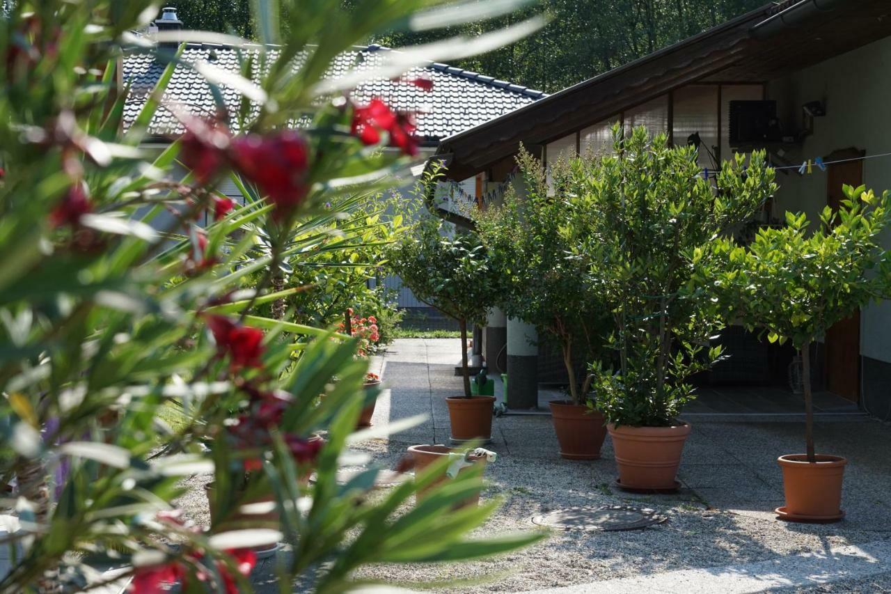 Northwest Studio Apartments Klagenfurt am Woerthersee ภายนอก รูปภาพ